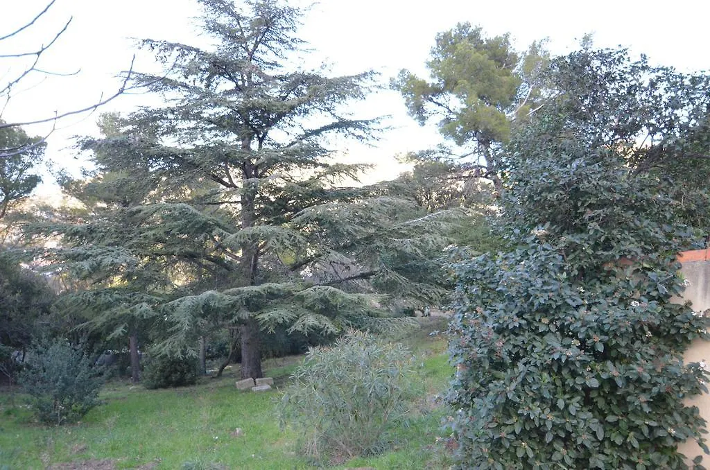 Chateau De L'Aroumias Bed & Breakfast Marseille